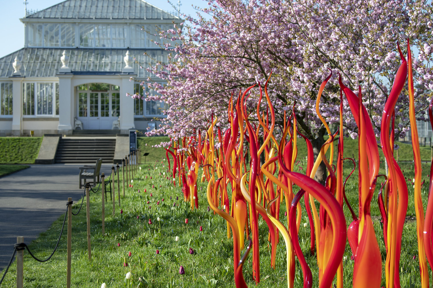 Chihuly в Kew Gardens